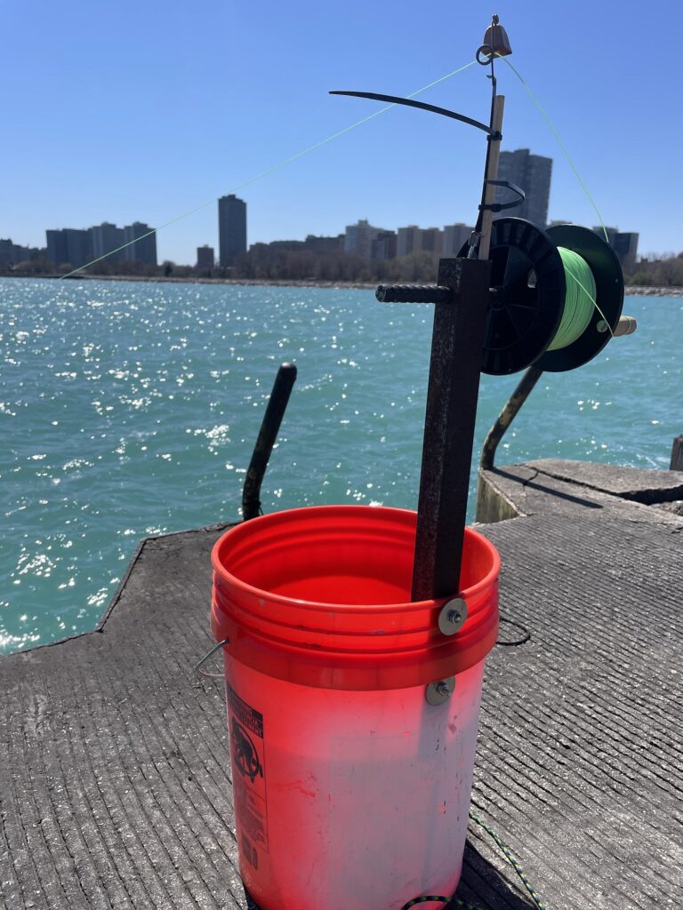 Luis Herrera: HR Transformation Specialist